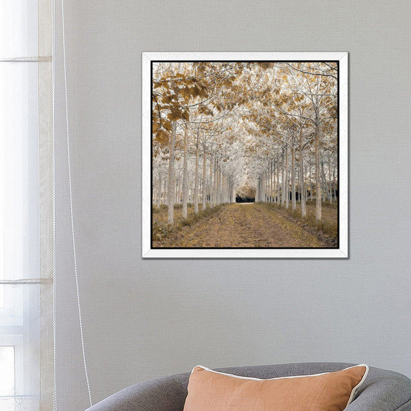 Print, 45.72 cm H x 45.72 cm W, White Framed