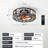19.66'' Ceiling Fan with LED Lights