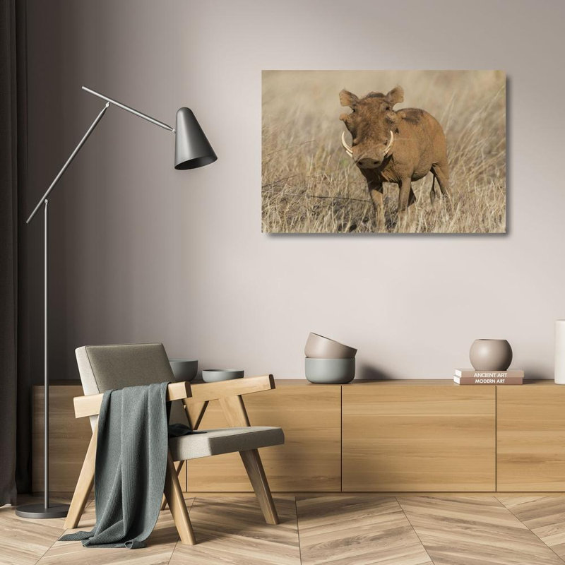 "Millwood Pines Williams", Joanne, reproduction d'art sur toile: Kenya Vue frontale d'un phacochère, H 17 po x l 24 po