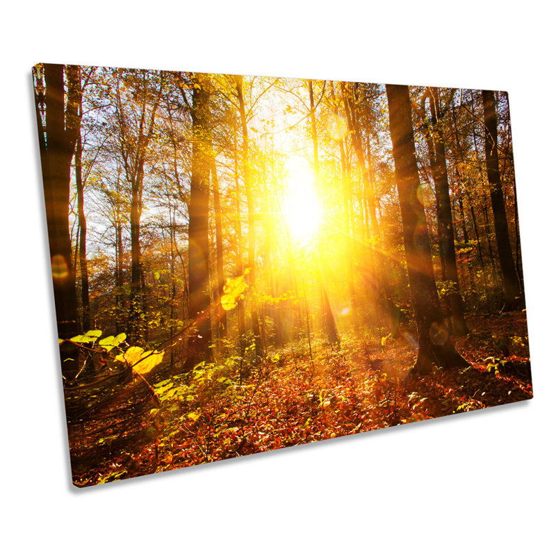 Sunlight Sunset Forest Yellow - Wrapped Canvas Print, 91.4cm H x 137.2cm W x 4cm D