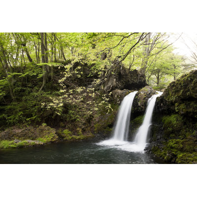 Waterfalls In A Forest by Ooyoo - Wrapped Canvas Print