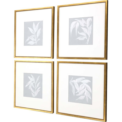Étude de feuilles S / 4