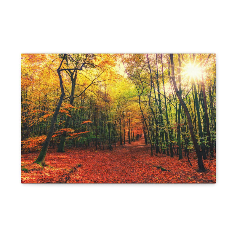 No Frame Print on Canvas, 40.64cm H x 50.8cm W