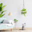 Ephratah Metal Hanging Planter