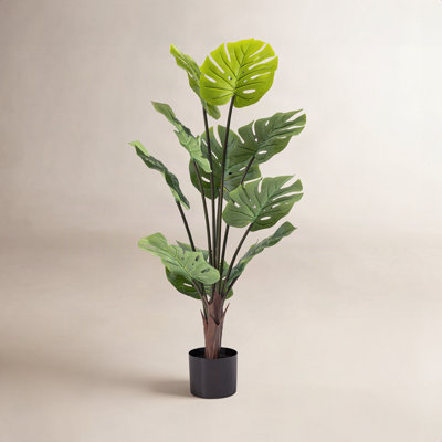 41" Monstera Plant in Pot