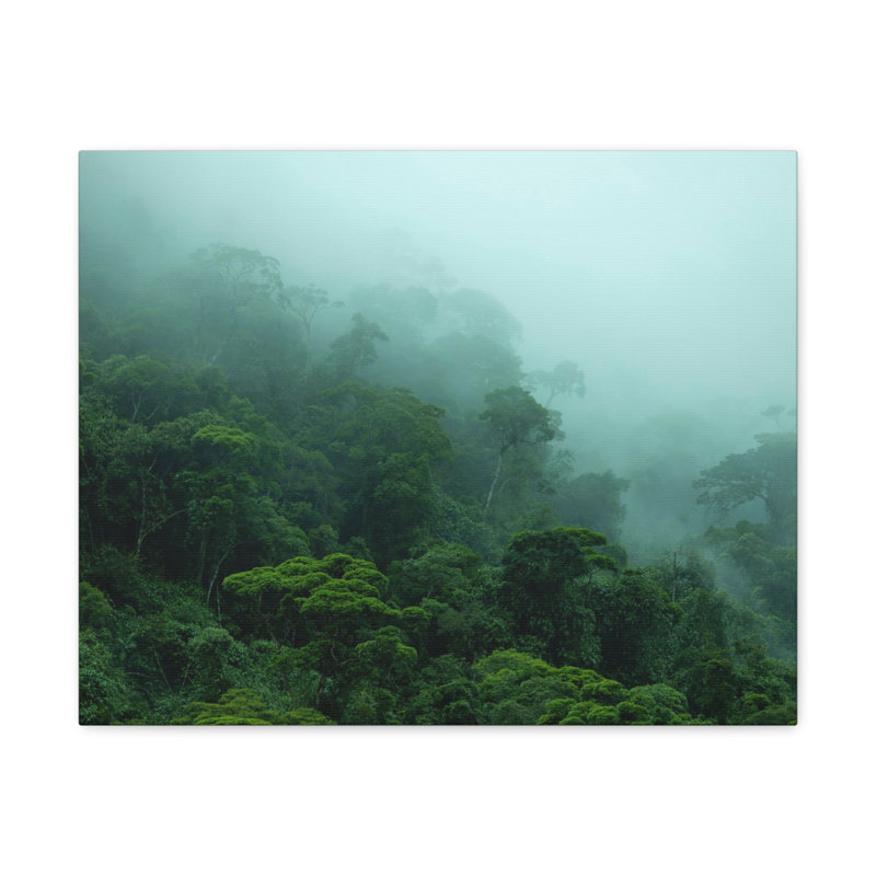 No Frame Print on Canvas, 40.64cm H x 50.8cm W