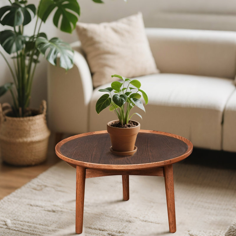 24" Round Coffee Table Oak Wood