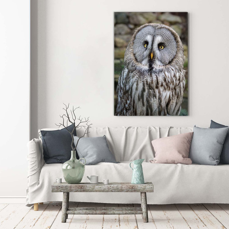 Owl - Wrapped Canvas Print