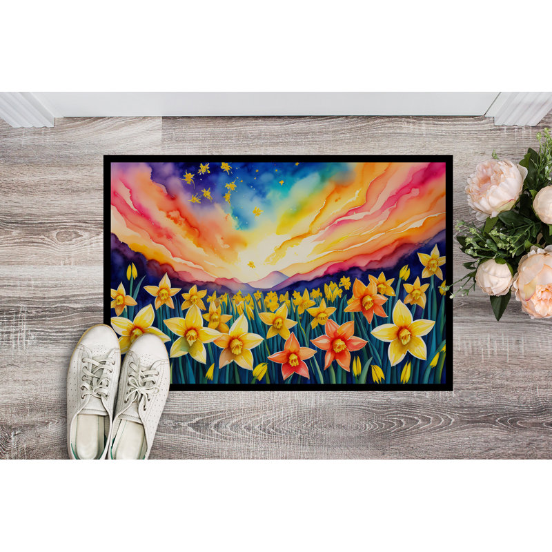 Patao Non-Slip Doormat, 24" W x 36" L