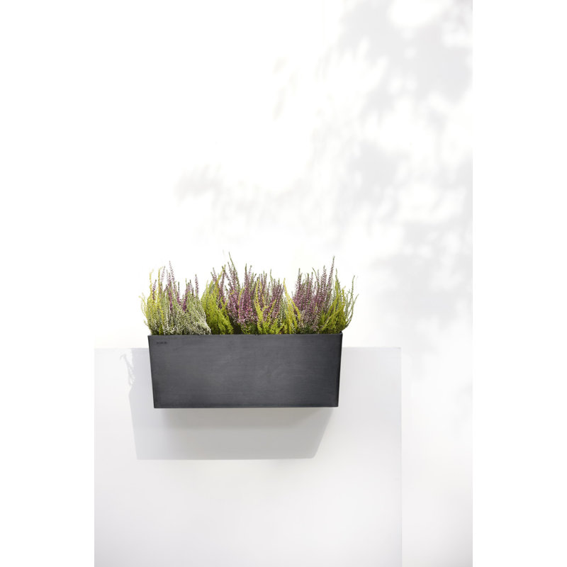 Wall Planter, Dark Gray
