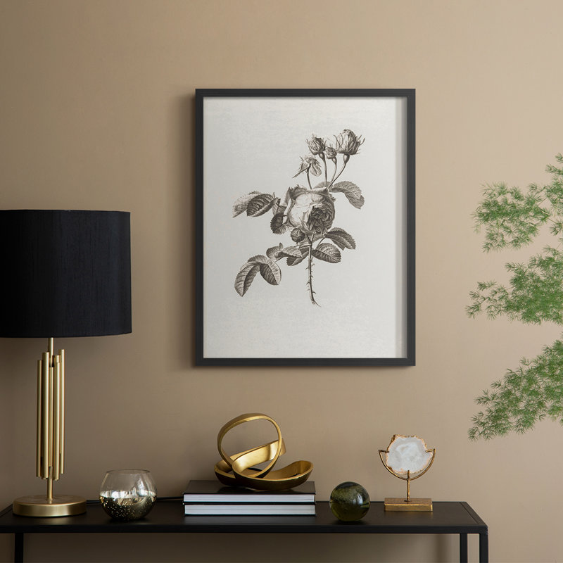 Impression florale vintage encadrée CECXV III - bois massif, Noir, noir, noir, noir, H 21 po x l 17 po