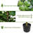 5.2 Ft Artificial Tree In Pot