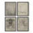 Vintage Sketch LXXX  Framed Print - Set of 4-1481407051-1481407048
