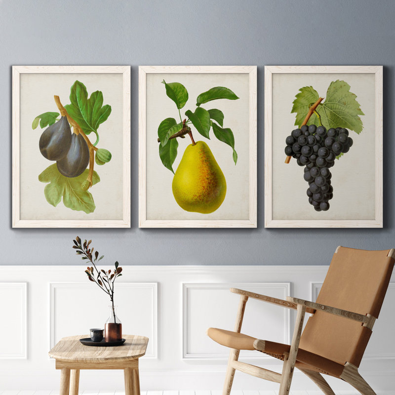 Antique Fruit VI - ensemble de 3 reproductions d'art sur toile, H 43,5 po x l 31,5 po x P 1 po, Blanc