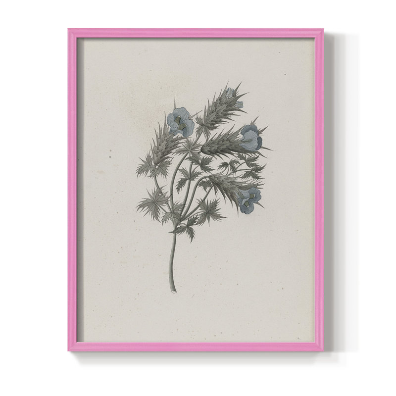 Impression florale vintage encadrée CCXI - bois massif, Rose, H 11 po x l 9 po