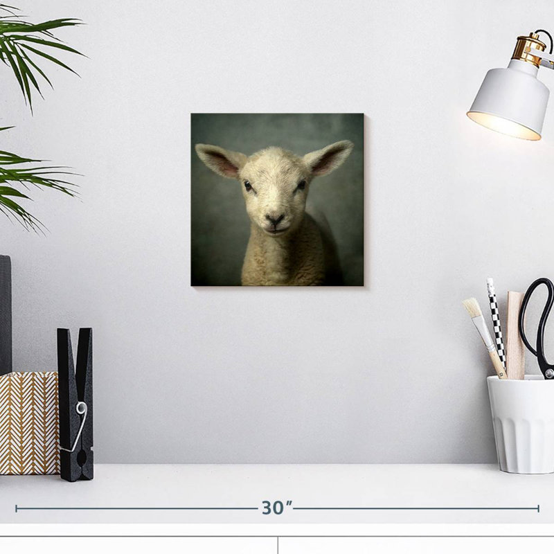 Crowle Newborn Lamb, H 10 po x l 10 po