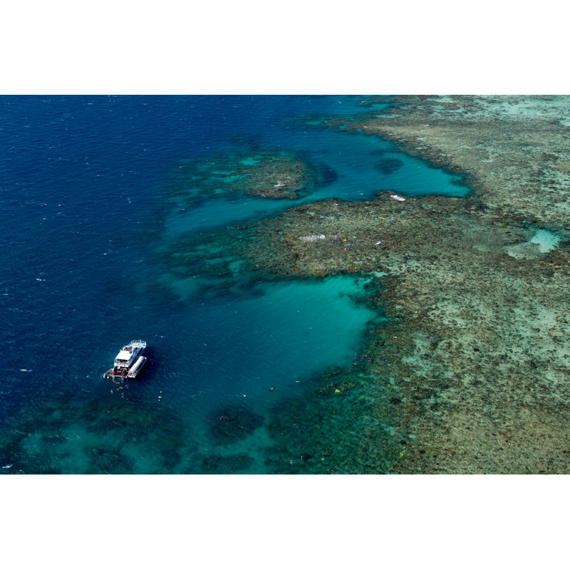 Brannen Great Barrier Reef by Sistromatic - Wrapped Canvas Print, 51cm H x 76cm W 3.8cm D