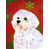 Bichon maltais 2