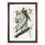 Brown Pelican by John Audubon - Picture Frame Graphic Art Print-55513117-55513116