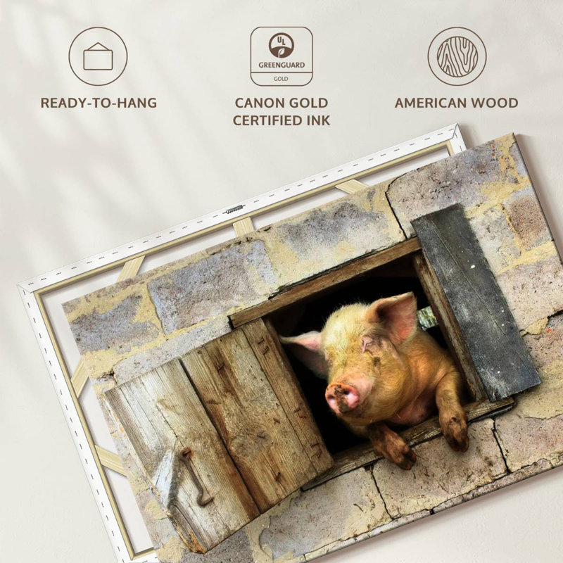Brampt souriant cochon, H 20 po x l 30 po