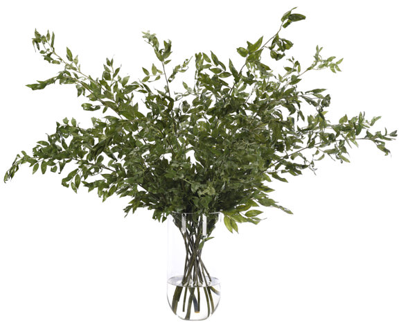 Smilex, vert, vase en verre, l 49 po x P 48 po
