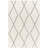 Bassiru Geometric Machine Woven Area Rug in Ivory/Brown-1412287389