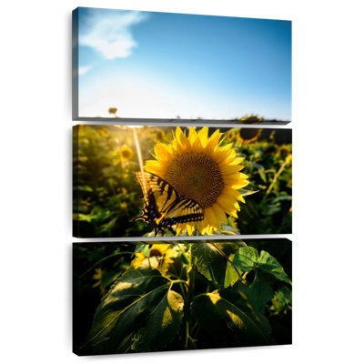 Harnek Sunflower Love
