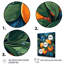 Peinture orange, hommage - art mural fruits-1252003403