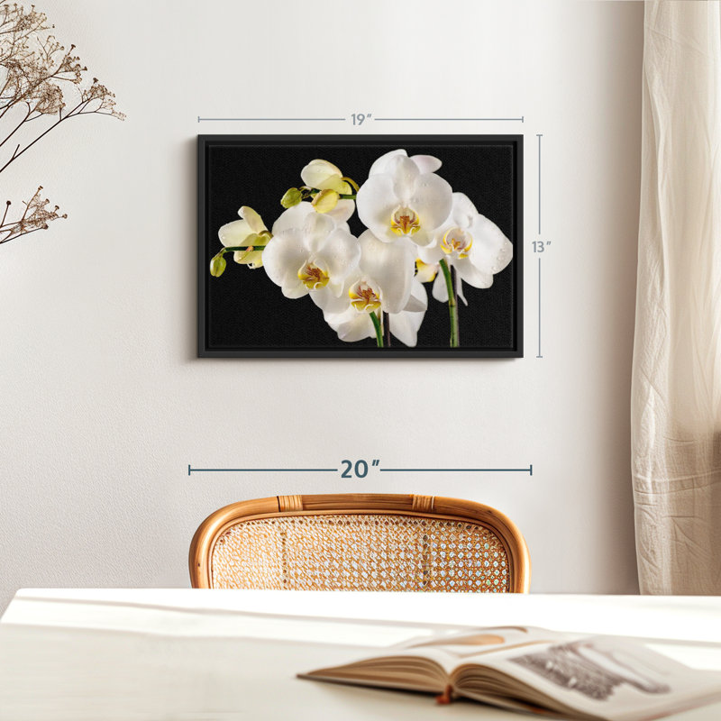 Fleurs fraîches d'orchidées blanches sur toile, H 13 po x l 19 po