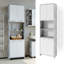 Lachaun Freestanding Linen Cabinet