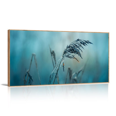 Grass Stalk with Water Droplets in Soft Blue Focus Canvas Wall Art