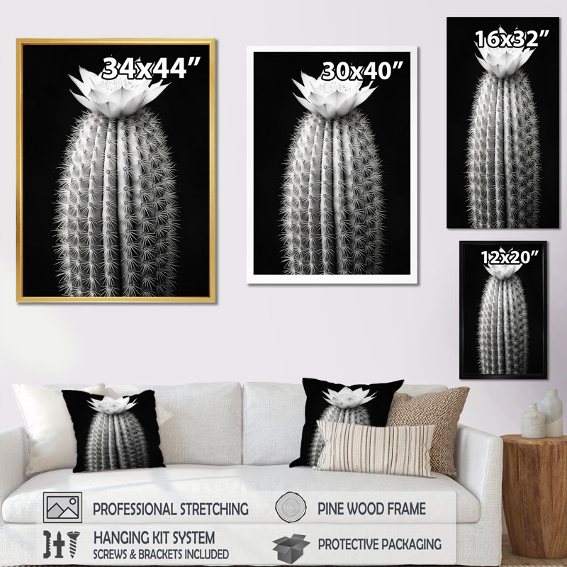 Cactus gris élégant en monochrome I - impressions sur toile florales et botaniques, Cadre photo noir