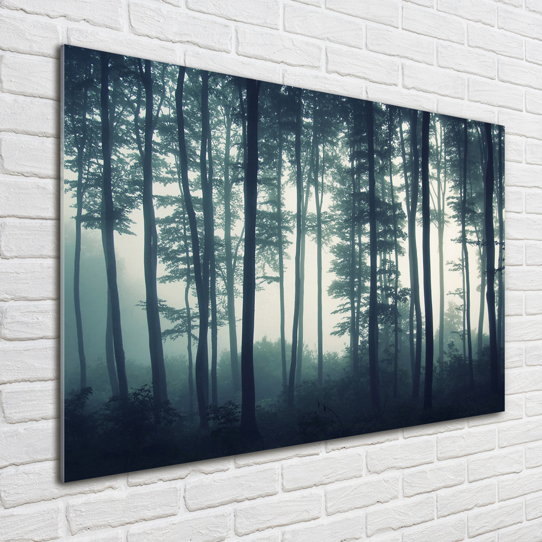 Glasbild Wald im Nebel