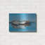 Art mural en métal Breakwater Bay, «Bateaux dans le port» par Max Maxx-862565758