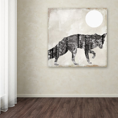 Wrapped Canvas Wall Art - Color Bakery 'Going Wild VII' Wall Art for Living Room, Bedroom, or Office Décor - 18x18