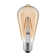 Equivalent ST19 E26 Dimmable 2700K LED Bulb