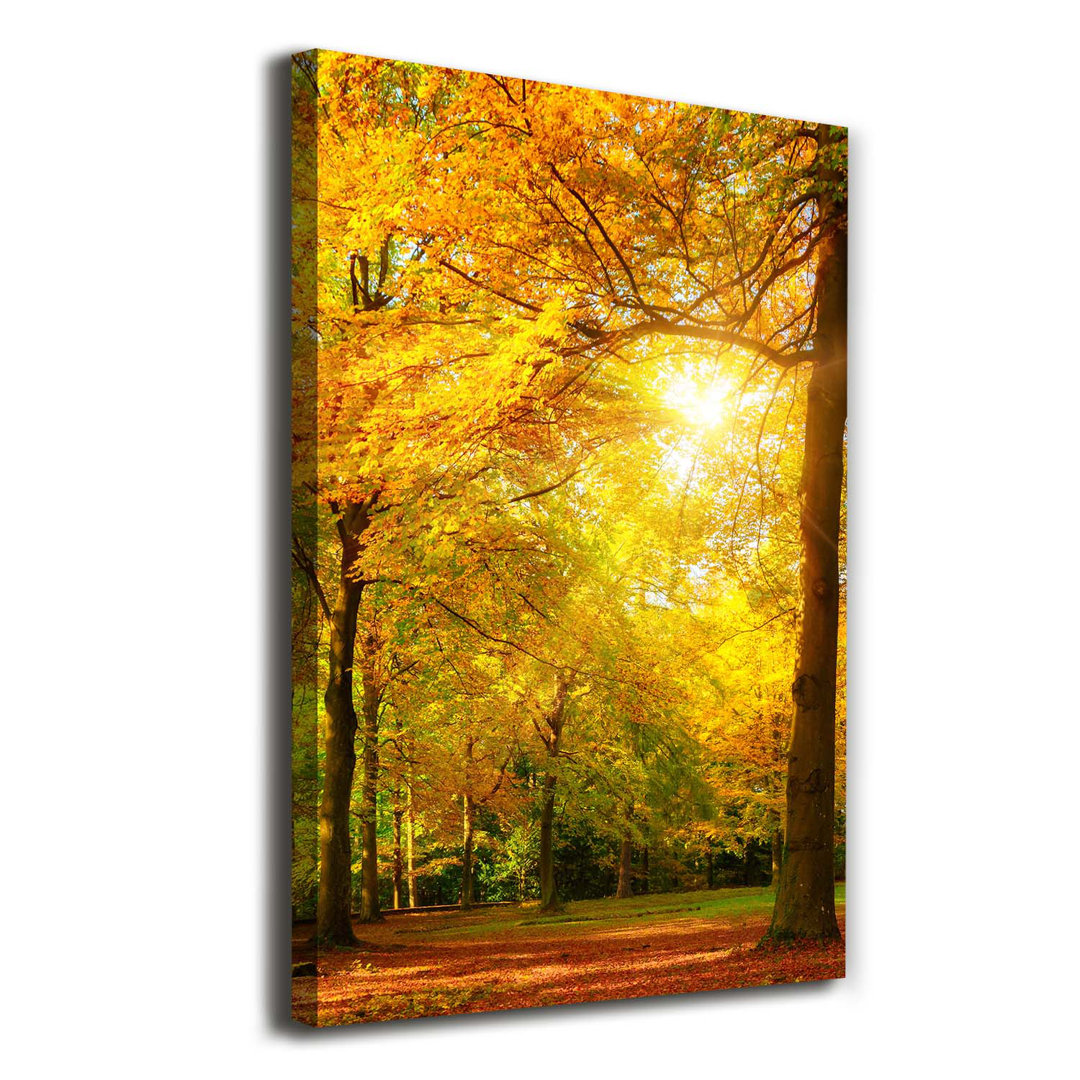 Herbstwald - Kunstdrucke auf Leinwand - Wrapped Canvas