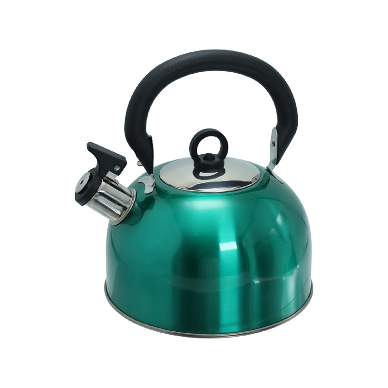 Buckingham Camping Whistling Kettle Stainless Steel with Heat-Resistant Handle 2.5 Litres, Green