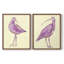 Impression encadrée Seabird I-Premium - prête à être accrochée - aucun clou requis - aucun clou requis-803503438-803503435