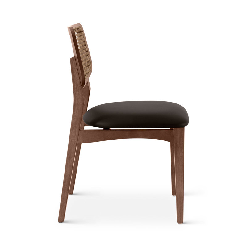 Modern Brazilian - Beth - Cane Side Chair - Medley Ivory Seat - Nogal Frame - Nogal Cane Webbing, Shimmy Black/Nogal/Nogal