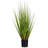 24" Artificial Potted Green/Burgundy Flax Grass-705607331