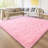 Shahen Rectangle Shag Area Rug-738442601-800662378