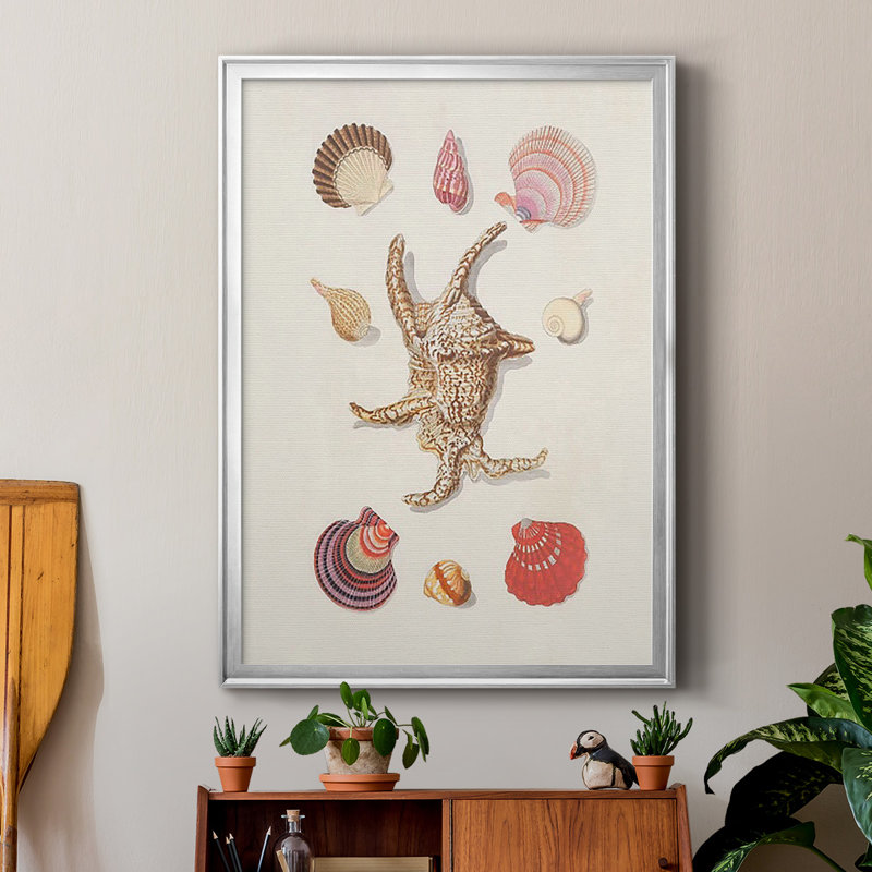 Knorr Shells & Coral II, reproduction encadrée de qualité supérieure - prête à être accrochée, H 42,5 po x l 30,5 po x P 1 po