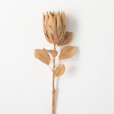 Rich Sienna Protea Sprays
