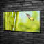 Bamboo And Butterfly - Print-1866013713-1866013712