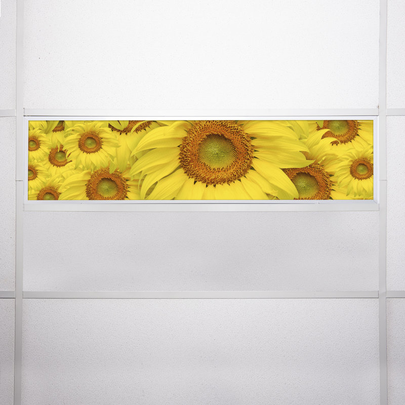 Flower Rectangle Fixture Component Ceiling Light