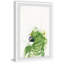 «Green Parrot», reproduction encadrée-569066364
