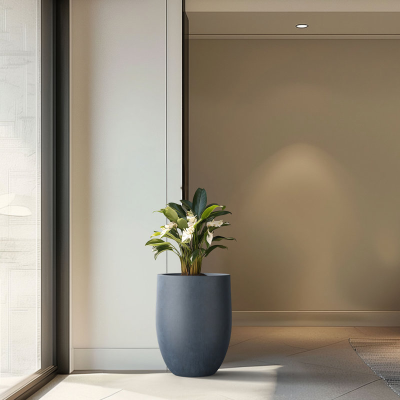 Pot à fleurs en ciment Irmelie, Gris anthracite foncé, H 21,65 po x l 16,93 po x P 16,93 po