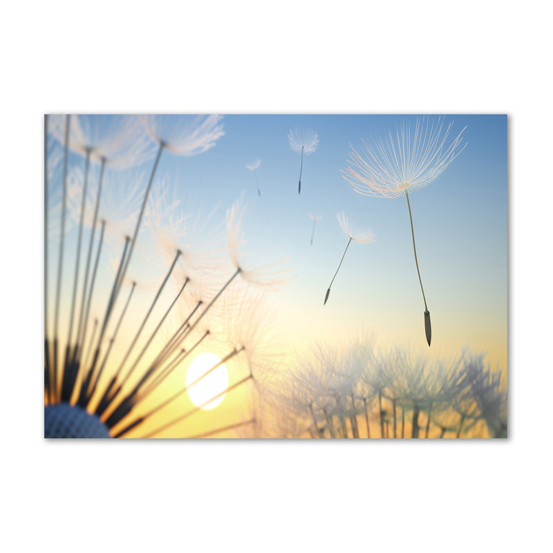 Dandelion Seeds - Wrapped Canvas Print