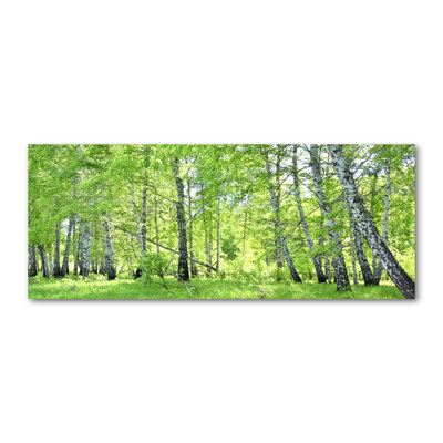 Birch Forest - Wrapped Canvas Print